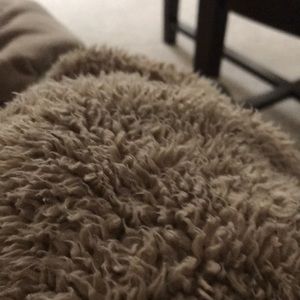 Meet your Posher, Dorothy